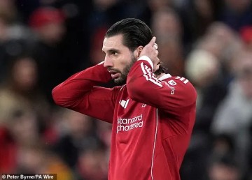 开云官网官方-索博：我理解球迷的愤怒，但请你们依然站在我们身后